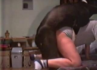 Playful big dog fucked her wet puss