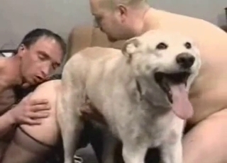 Cruel bestiality intercourse with an awesome rear end
