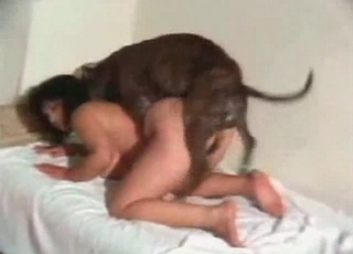 The cock of a dog is the best gift for this stupid superslut