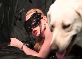 Dog pulverizing with a tipsy zoophile