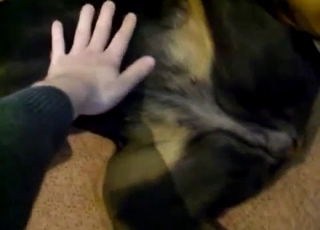 Ebony dog having nasty fun with a kinky zoophile