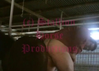 Impressive action with a horny dog