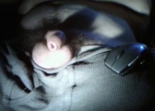 Cute mutt licking my dick with love