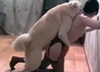 Fast sex of a black-haired and her instructed dog