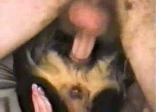 Sweet doggy pounded rock hard in sideways pose