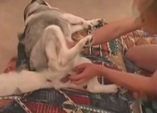 Playing around with dog's hot cunt