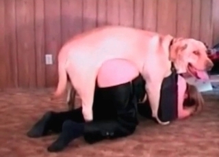 Nice dog boinks her small coochie