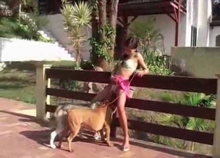 Juicy and jiggly pussy slurped by two dogs