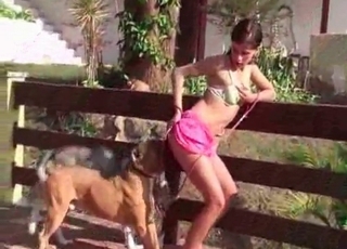 Juicy and jiggly pussy slurped by two dogs