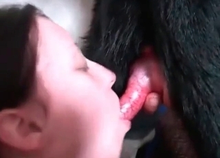 Dark-hued mutt fucks a youthful babe