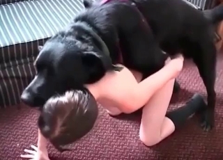 Dark-hued mutt fucks a youthful babe