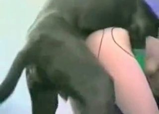 Dog blowing its super-steamy load