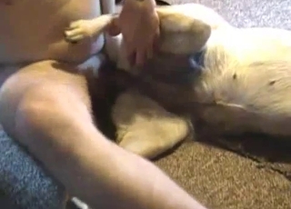 White retriever gets its ass-hole used by a horny person