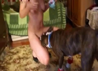 Cute dog licks her cunt in POV mode