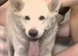 Awesome trained doggy and cute lady