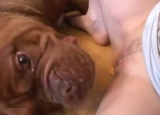 White undies blond licked by a dog