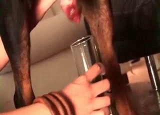 That Doberman is so insane