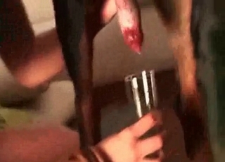 That Doberman is so insane