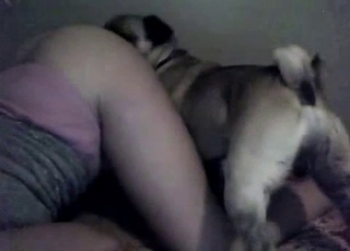 Teen gets her pussy licked by a cute dog