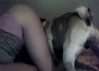 Teen gets her pussy licked by a cute dog
