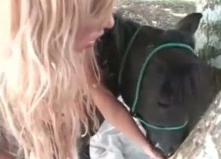 Small stallion can't stop banging a chick