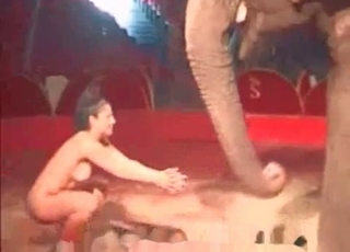 Lovely model can't stop playing with an elephant