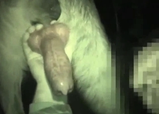 Guy is in awe of that meaty dog boner