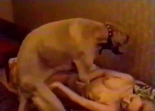 Great bowwow humped chick's tight honey pot from behind