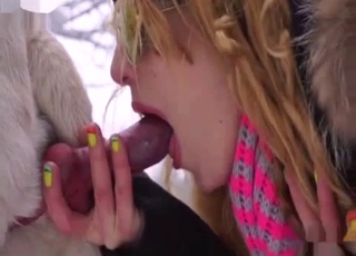 Shades-wearing amateur sucking dog cock