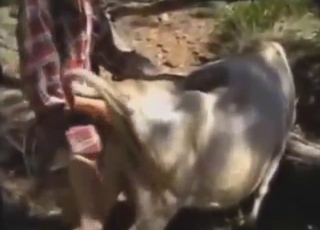 Big dick for a big roaming beast outside, so good