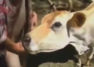 Big dick for a big roaming beast outside, so good