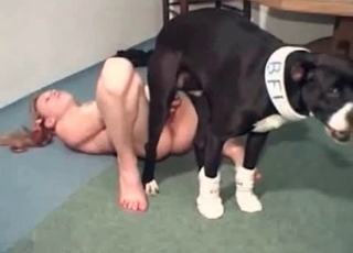 Incredible hound is totally drilling this raw snatch for joy