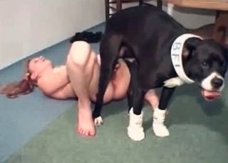 Incredible hound is totally drilling this raw snatch for joy