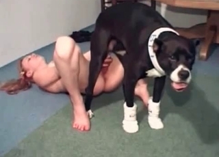 Incredible hound is totally drilling this raw snatch for joy