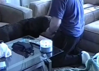 Black dog got nicely drilled by owner