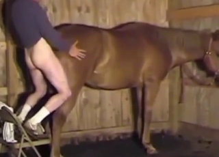 Blond-haired lady wants a dog's boner inside