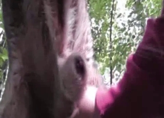 Outdoors handjob for a good doggo