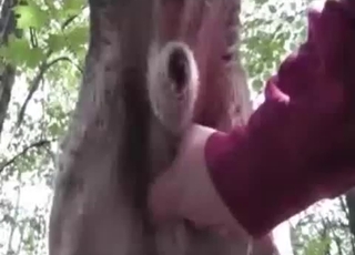 Outdoors handjob for a good doggo