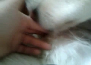 Just playing with tight ass hole of a dog