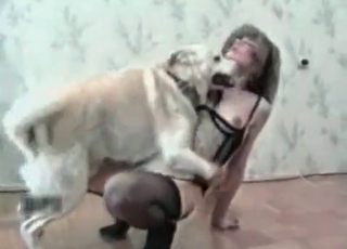 Good babe and amazing instructed retriever