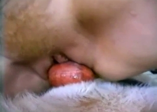 Discolored dog cock for a human cunt