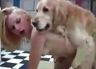 Dogs pounding fast and raw