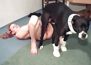 Incredible hound is totally drilling this raw snatch for joy