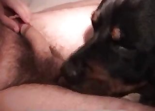 Dog got nicely drilled by masculine dick