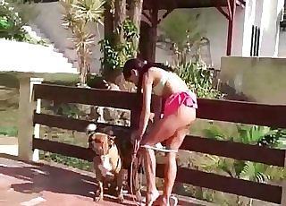 Juicy and jiggly pussy slurped by two dogs