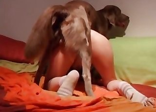 Sexy backside prettily penetrated by amazing doggy
