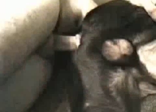 Sideways fuck-fest with a hot dog