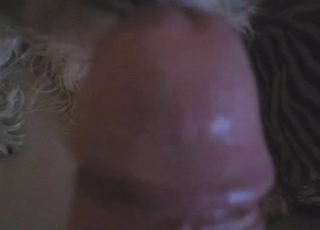Cute hairy mutt licks my hard man-meat
