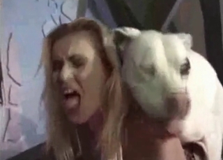 Milky dog nicely pounds her tight raw hole