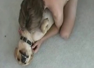 This dog's pussy gets ruined for good